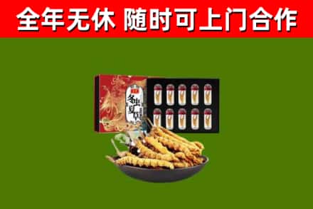 西城区回收冬虫夏草价格